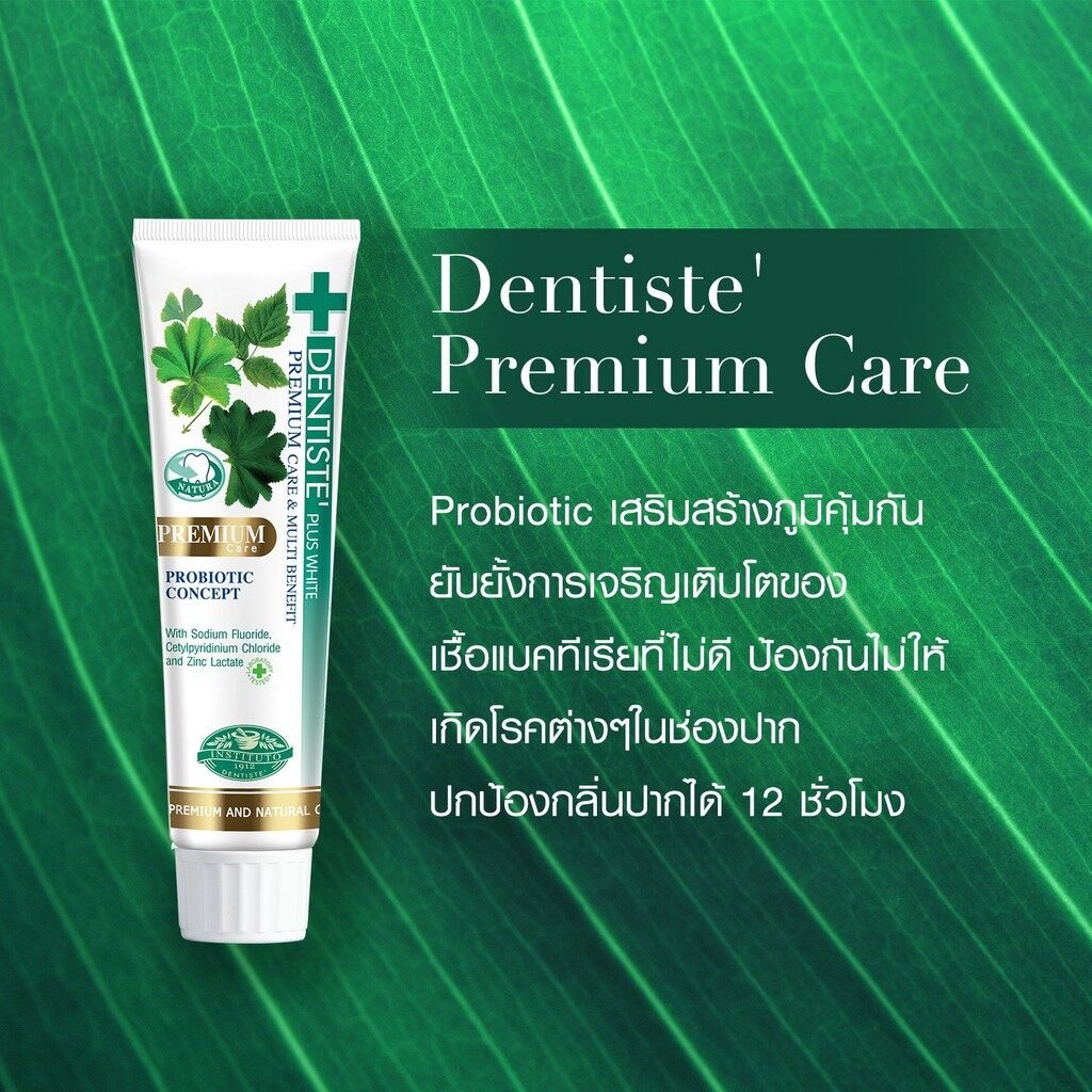 Dentiste Premium Care Toothpaste 100g.