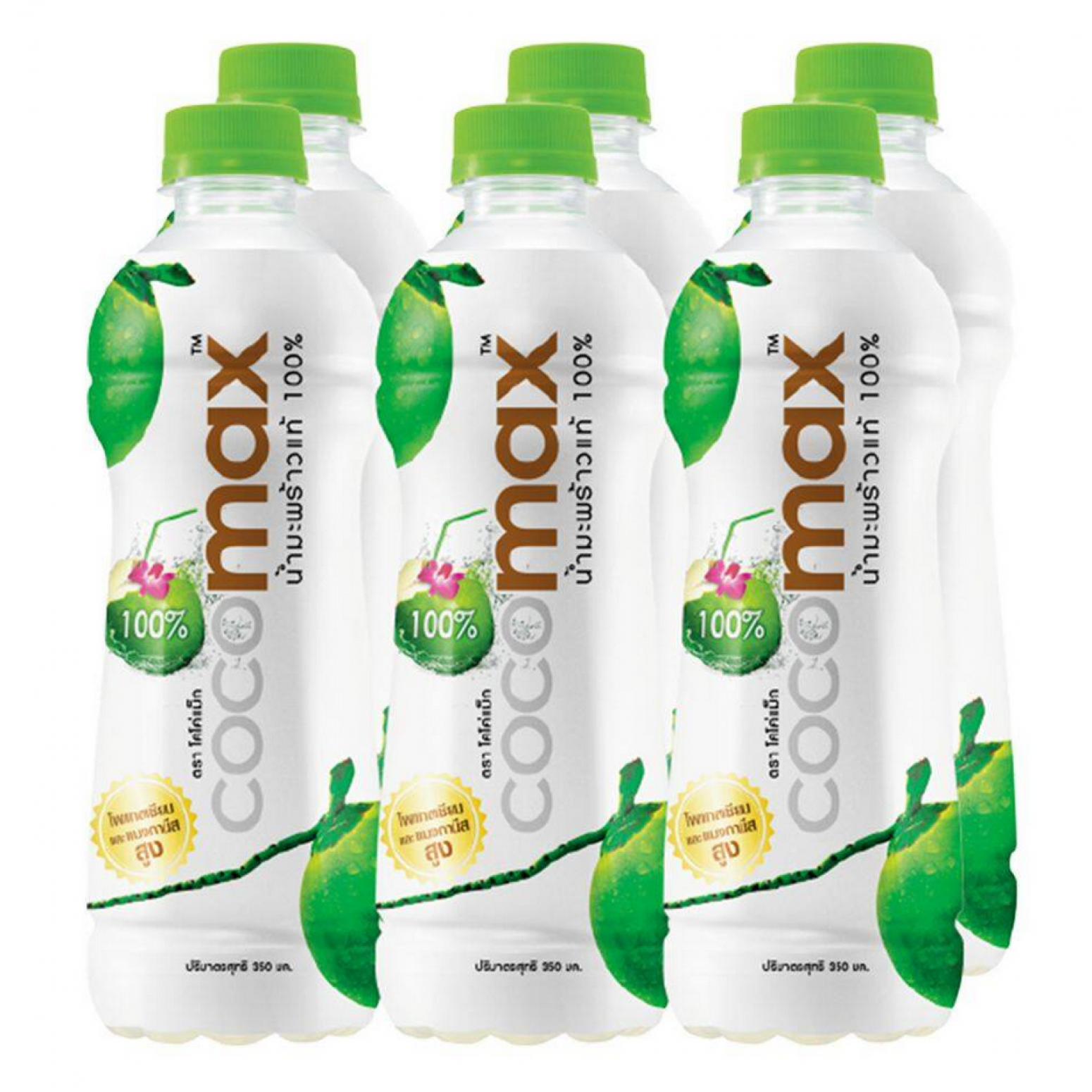 Cocomax Coconut Water 100percent 350ml. Pack 6