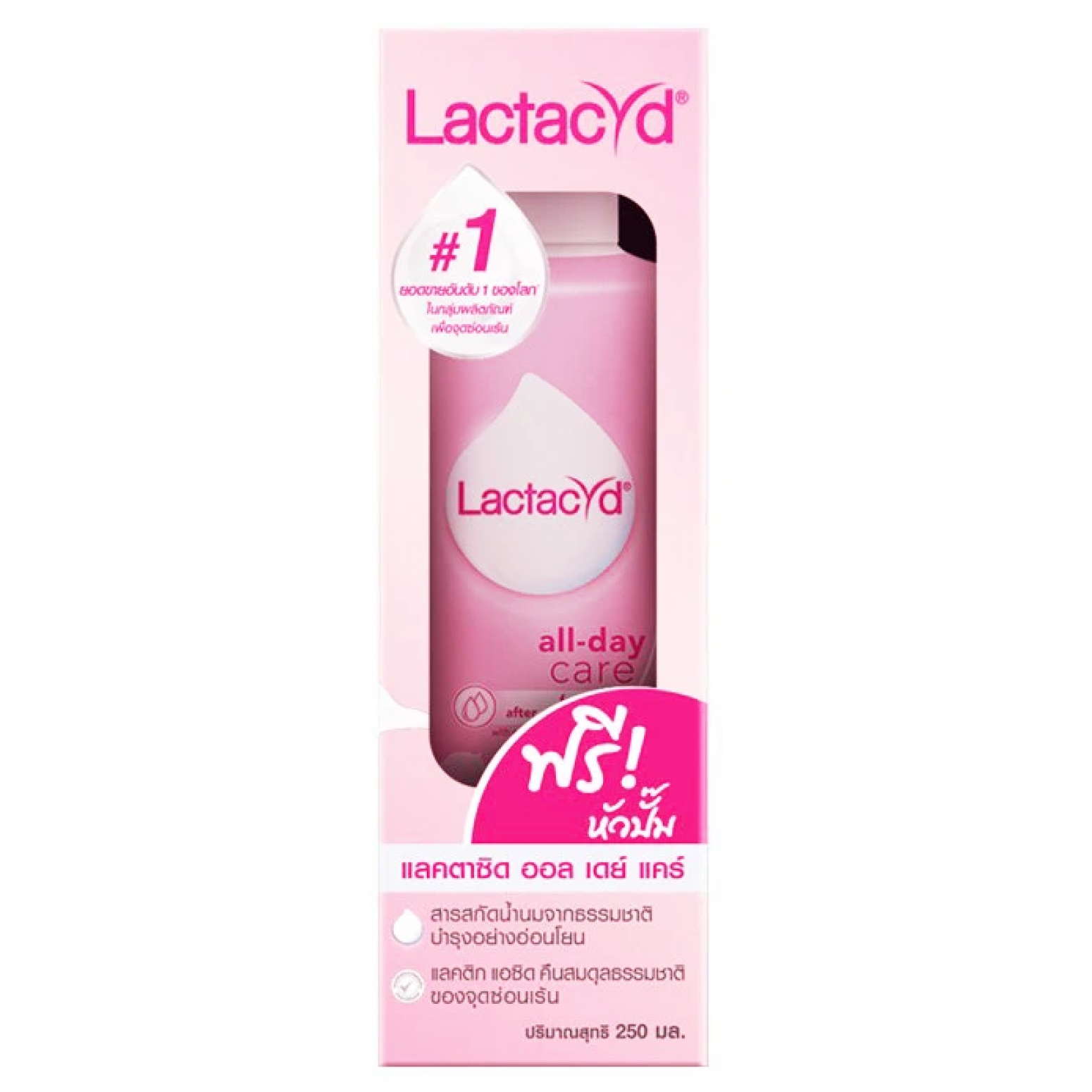 Lactacyd All Day Care Daily Feminine Wash 250ml.