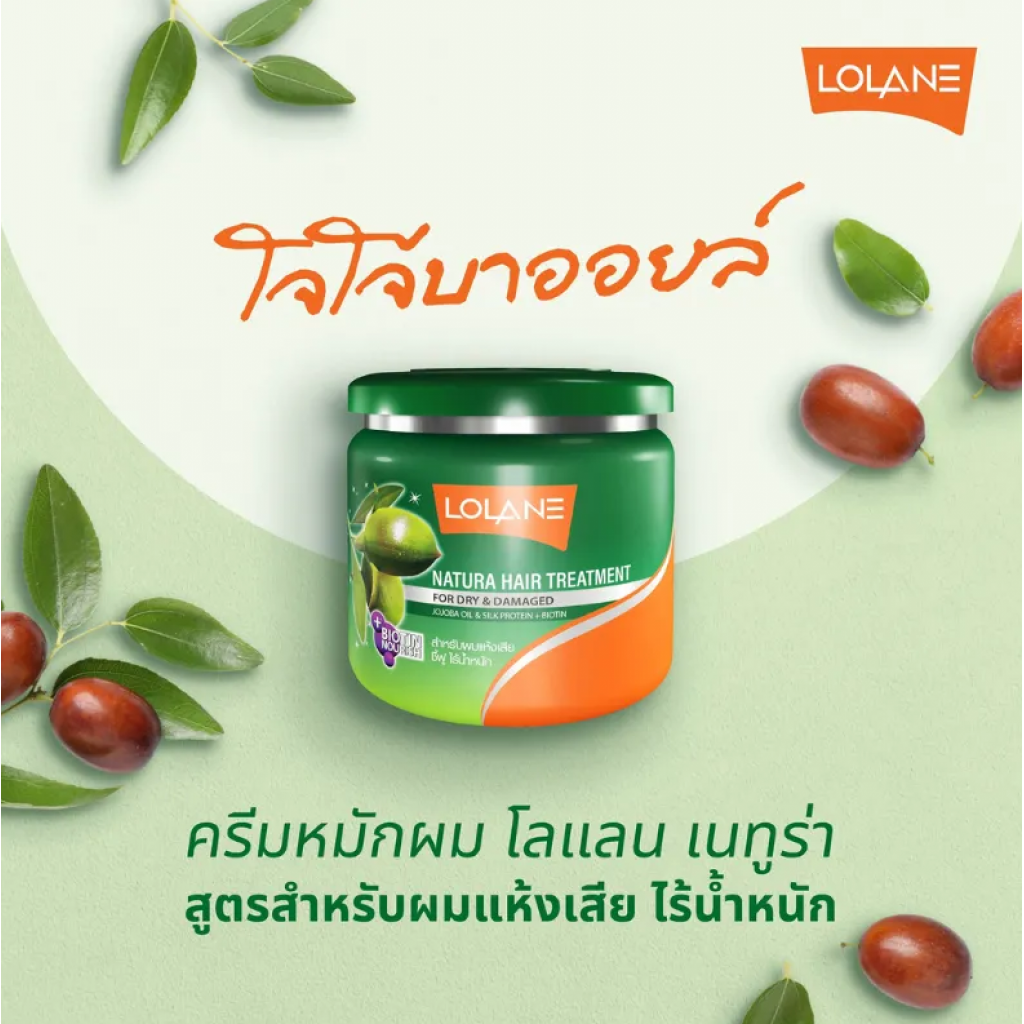 Lolane Natura Dry and Damage Care Treatment 500g.