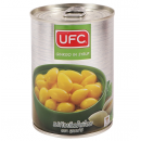 UFC Ginkgo in Syrup 565g.