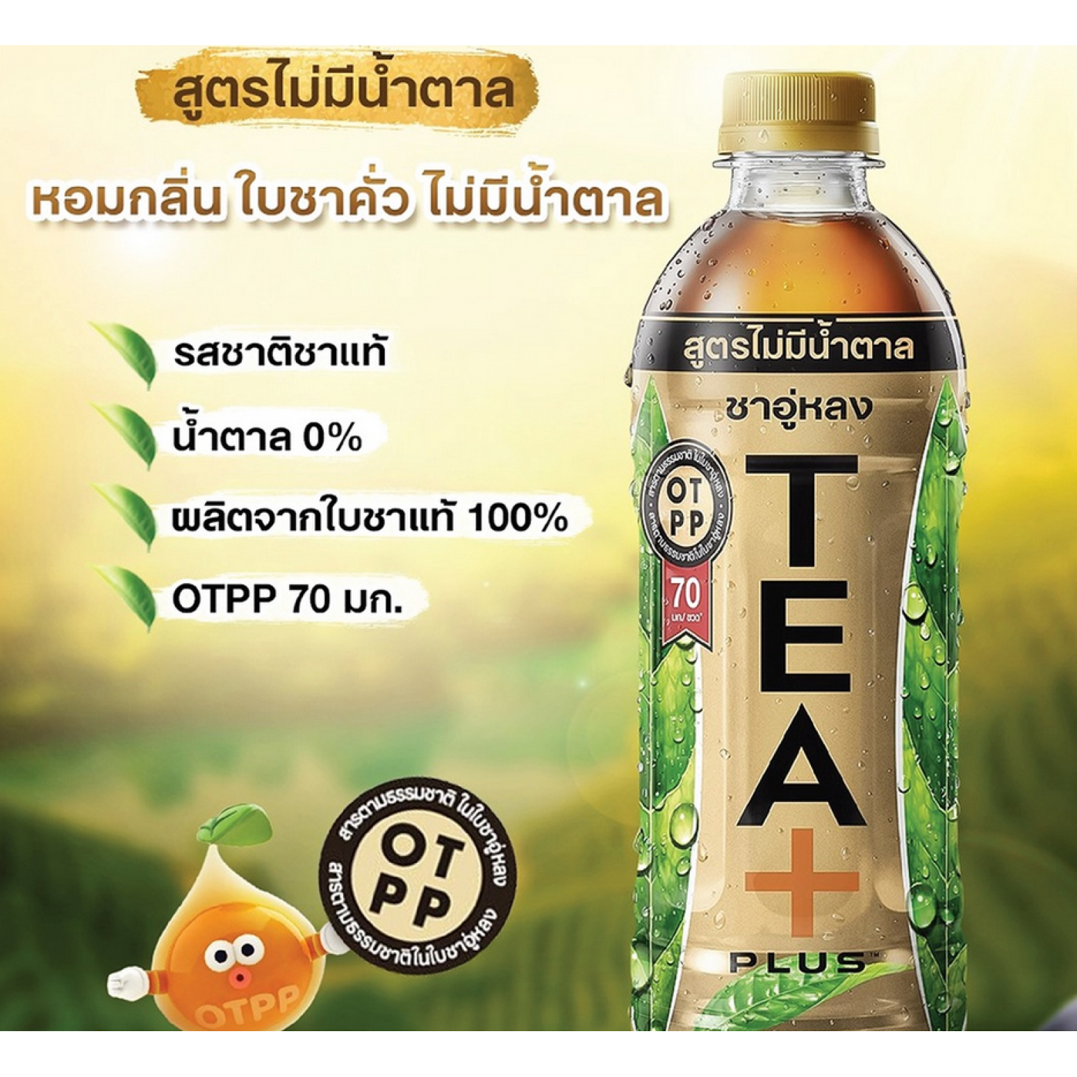 Tea Plus Oolong Tea No Sugar 500Ml.