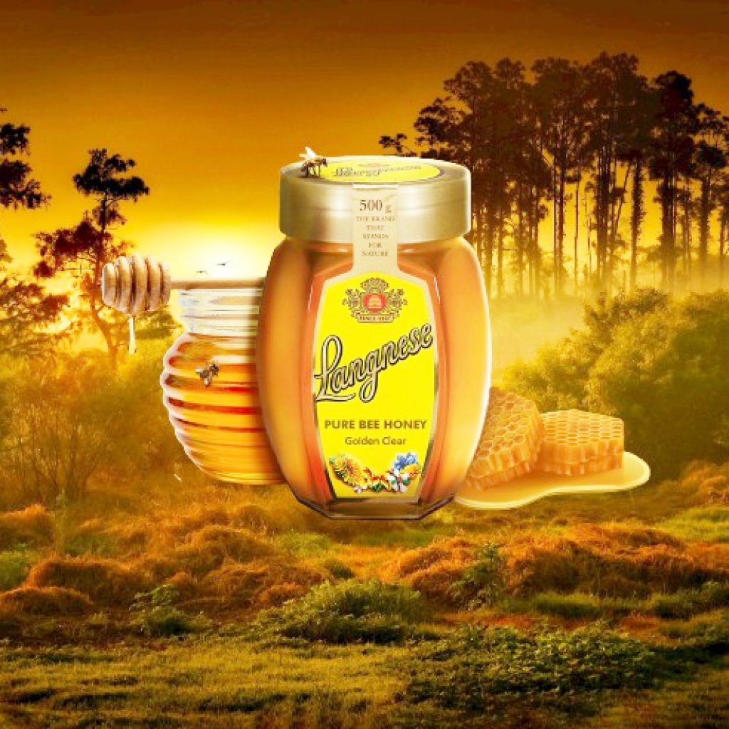 Langnese Honey 500g.