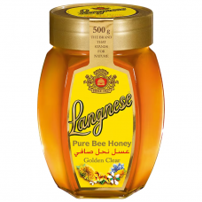 Langnese Honey 500g.