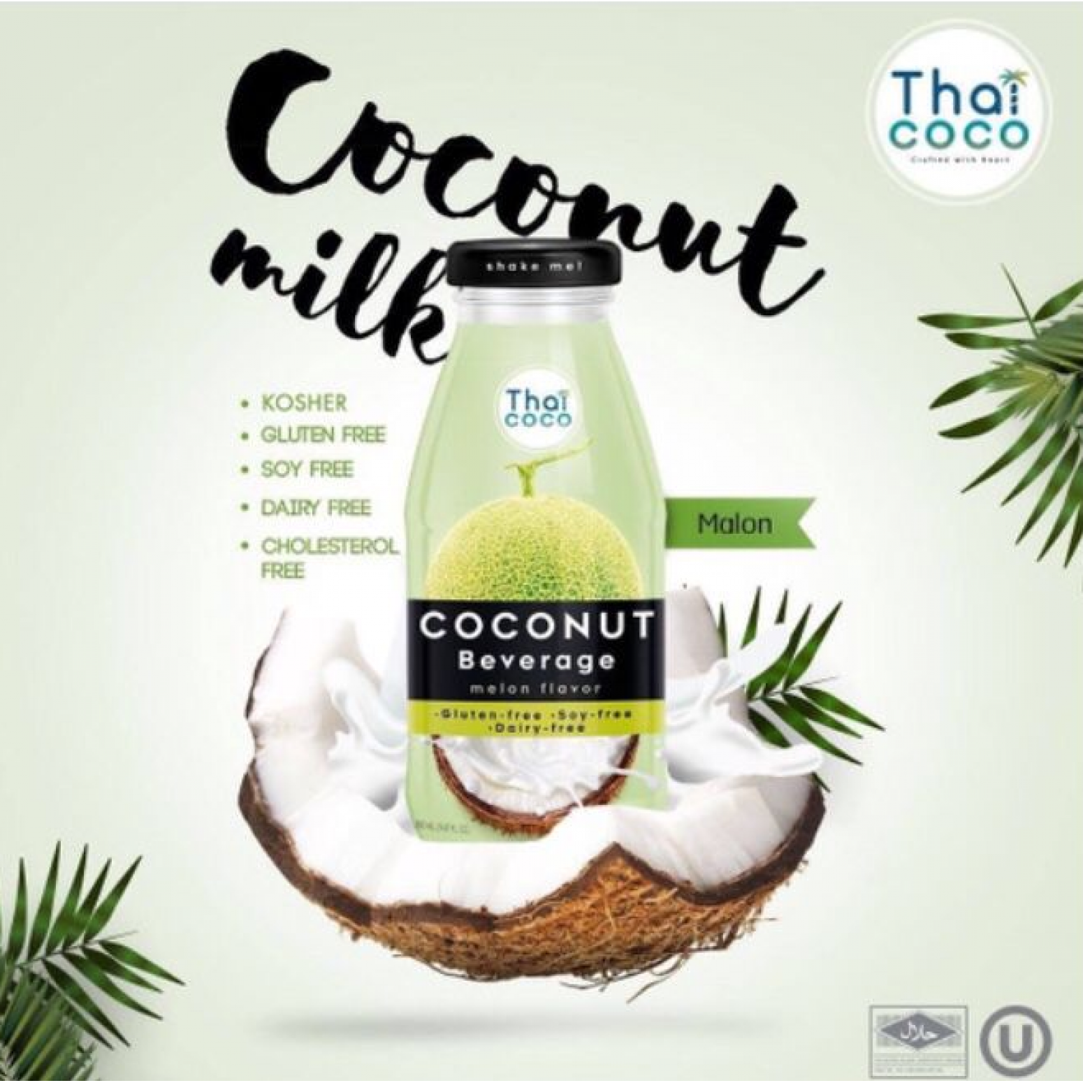 Coconut milk beverage Melon flavor 280 ml