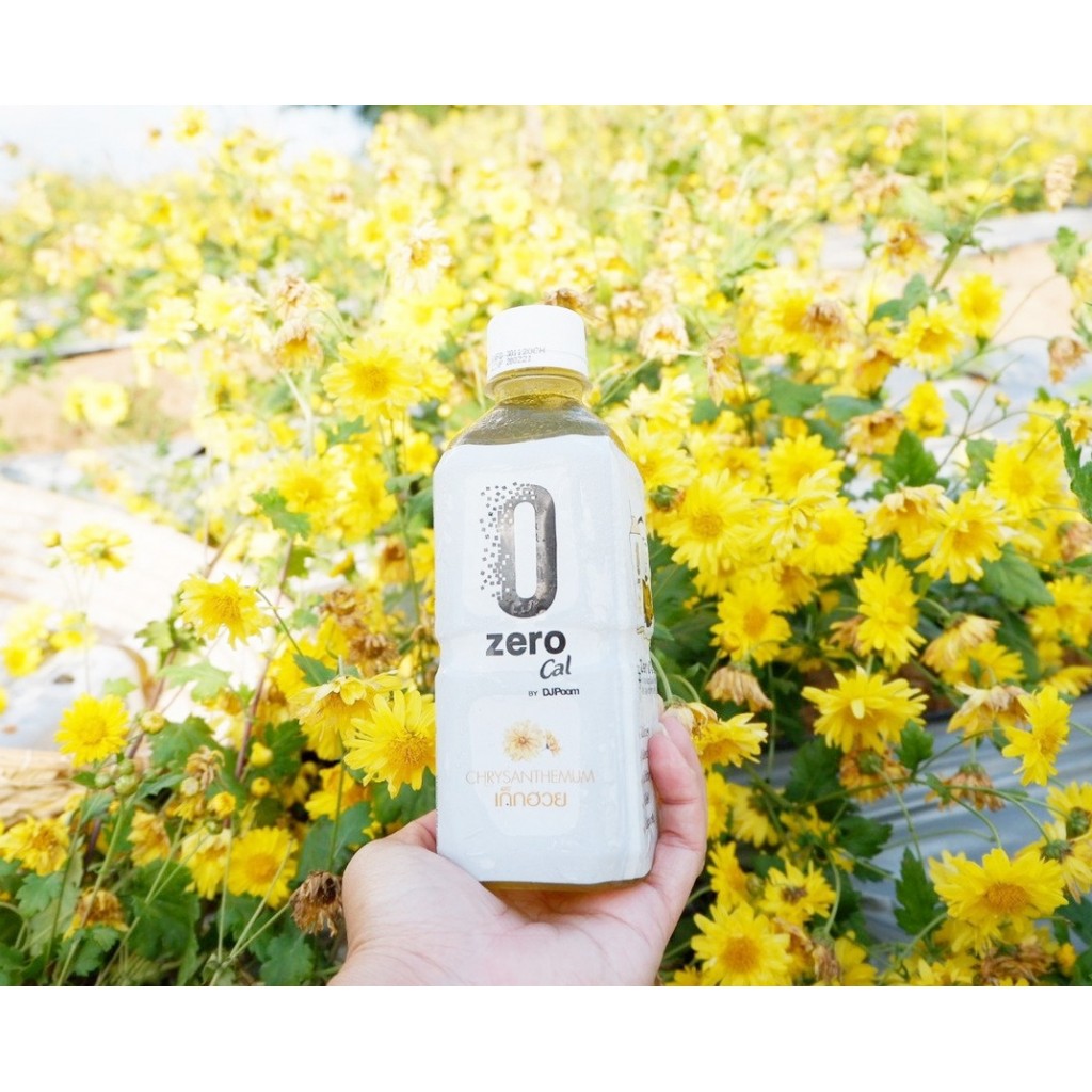 Zero Cal Chrysanthemum Drink Tea 350ml.